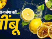 લેમન સ્ટોરેજ ટિપ્સ 2026: શું તમારા ઘરમાં પણ લીંબુ ઝડપથી સુકાઈ જાય છે? આ 4 જાદુઈ પદ્ધતિઓથી તમે મહિનાઓ સુધી તાજા અને રસદાર રહેશો.