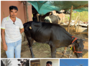 શંકાથી સમૃદ્ધિ સુધી: કેવી રીતે વીજ ટ્રાન્સમિશન ટાવરે દક્ષિણ ગુજરાતના એક ખેડૂતના જીવનમાં પરિવર્તન લાવી તેમના પરિવારને આપી નવી આશા